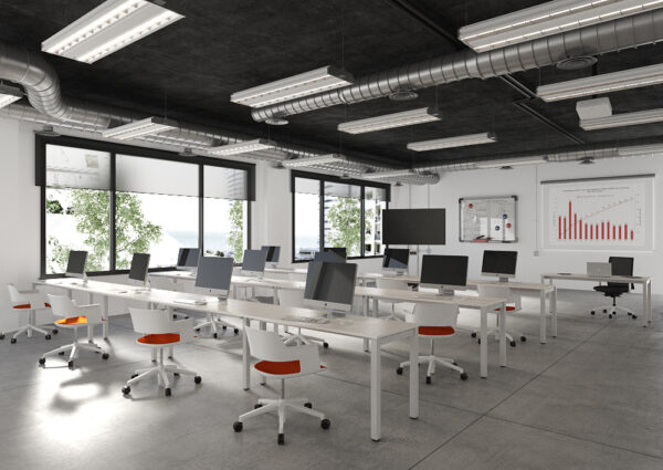 Zama_3