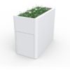 Cell Bloque_03